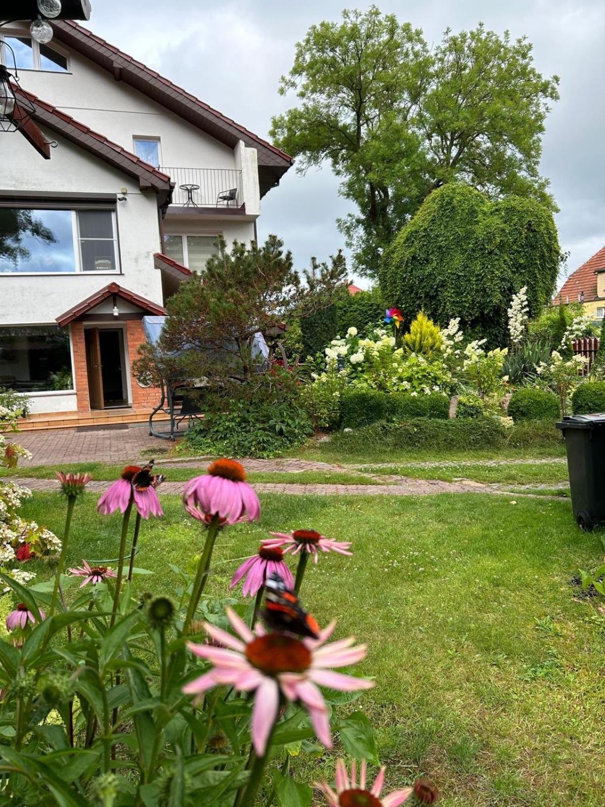 Mielno-eko Mielno (Koszalin)