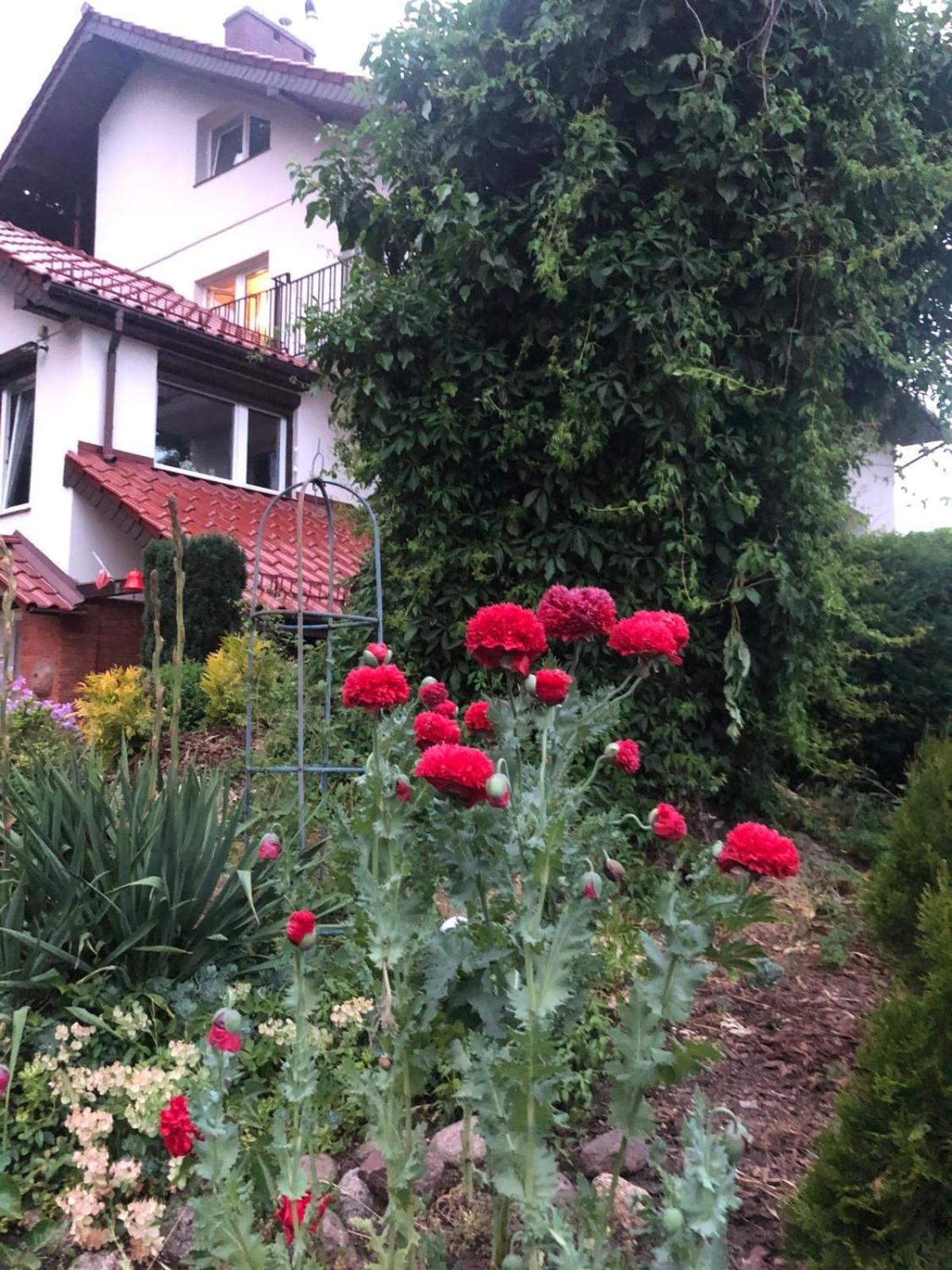 Homestay Mielno-eko *