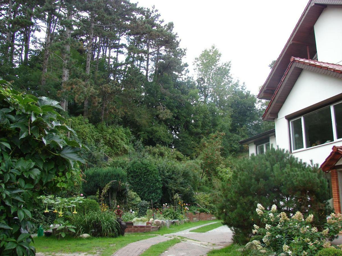 Homestay Mielno-eko *